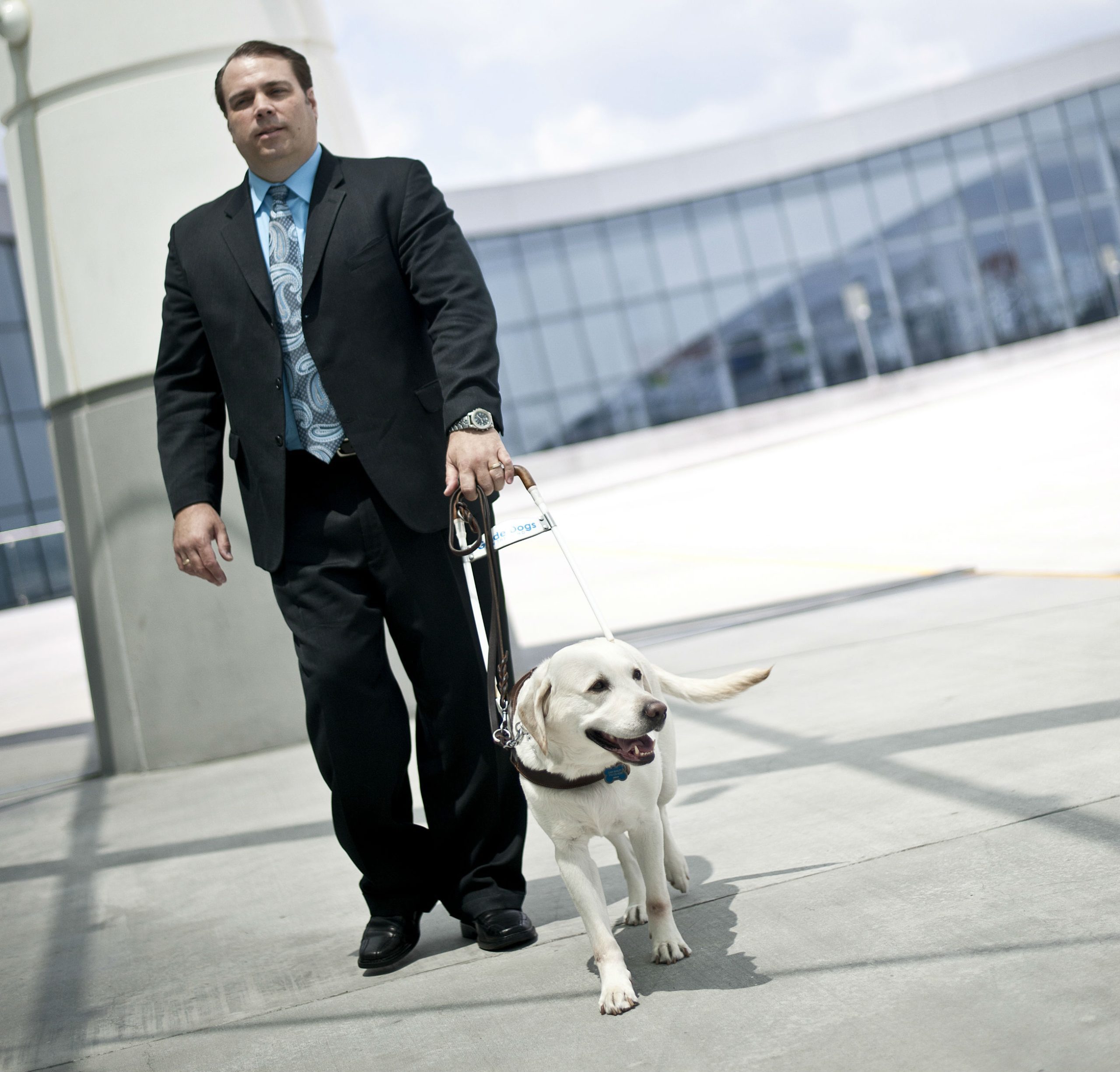 Man in suit being led by a guide dog