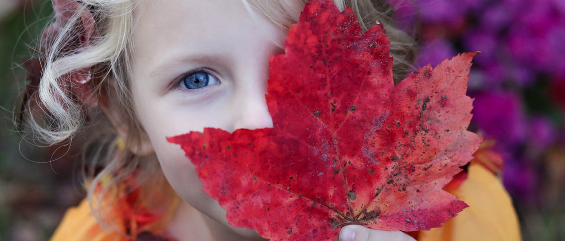 A young girl covering part of her face with a red maple leaf
