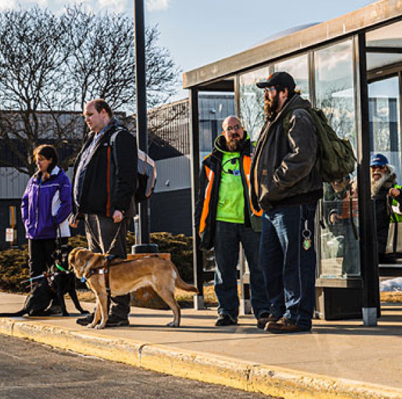 Group of people at a bus stop. Two individuals have guide dogs.